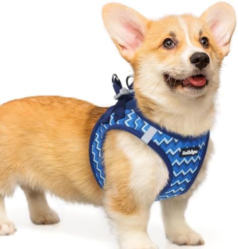 rabbitgoo Step-in Small Dog Harness, Puppy Vest for Small Medium Sized Pet by rabbitgoo