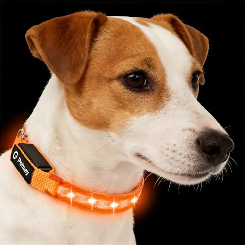 Super Bright LED Dog Collar, Waterproof Light up Collars(Orange, X-Small) by PetIsay