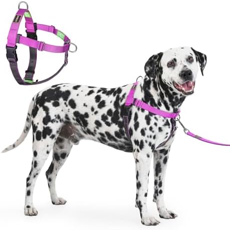 Freedom No Pull Dog Harness, Purple, Large by APDEXY%7CEspeciallyFurYou