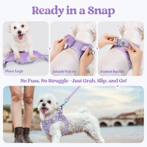 rabbitgoo Dog Harness Medium Sized and Leash Set, Step-in Puppy Pet Vest - Image 5