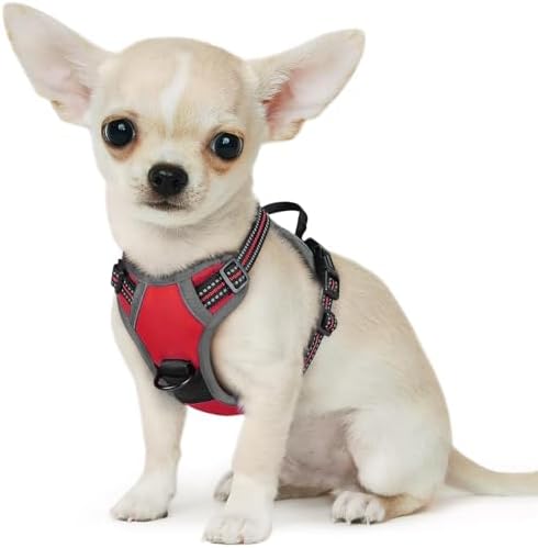Eagloo Dog Harness for Small Dogs, No Pull Pet Vest with 2 Leash Clips by GoExplorewithEagloo