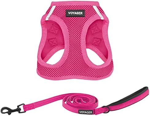 Best Pet Supplies Voyager Step-in Air All Weather Mesh Harness and Reflective Dog 5ft Leash Combo with Neoprene Handle, for Small, Medium and Large Breed Puppies - Fuchsia, X-Small by BestPetSuppliesLLC