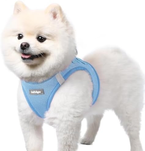 rabbitgoo Step-in Small Dog Harness, Puppy Vest for Small Sized Pet by rabbitgoo