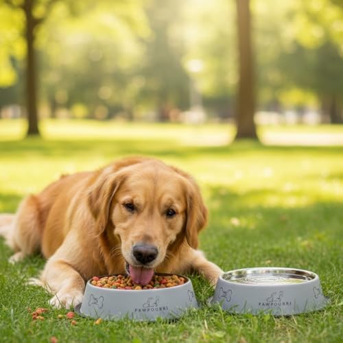 Stainless Steel Dog Bowl Pack of 2, Food & Water Bowl for Dogs, Durable Dog Feeding Bowl, Bowls for Medium Dogs, Easy to Clean, Anti-Skid Pet Bowl 24 oz (Blue & Grey) - Image 4