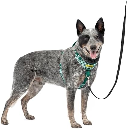PetSafe Easy Walk Comfort No Pull Dog Harness, Green Gingham, Medium by PetSafe
