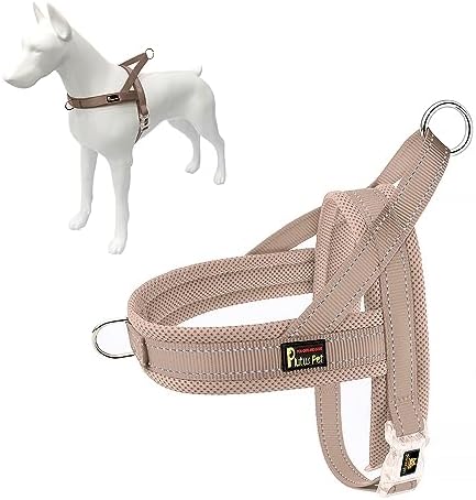 Plutus Pet No Pull Dog Harness with Front Clip, Breathable Mesh Padded by PLUTUSPET