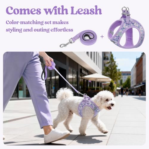 rabbitgoo Dog Harness Medium Sized and Leash Set, Step-in Puppy Pet Vest - Image 6