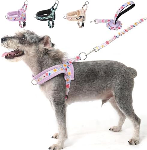 BEAUTYZOO No Pull Small Dog Harness and Leash Set, Soft Puppy Vest Harness with Handle Escape Proof & Easy Walk, Lightweight Dog Winter Harness Chest Adjustable for Girl Boy Dogs 22-33 lbs, Purple M by BEAUTYZOO