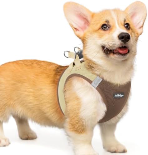 rabbitgoo Step-in Small Dog Harness, Puppy Vest for Small Medium Sized Pet by rabbitgoo