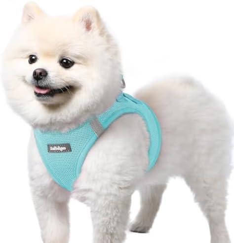 rabbitgoo Step-in Small Dog Harness, Puppy Vest for Small Sized Pet by rabbitgoo