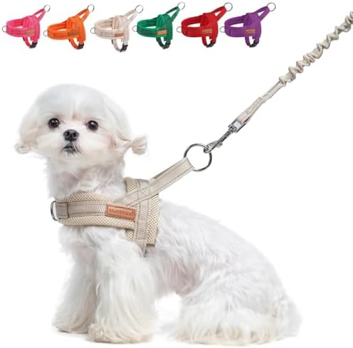 BEAUTYZOO Small Dog Harness and Leash Set, No Pull Step in Puppy Vest by BEAUTYZOO