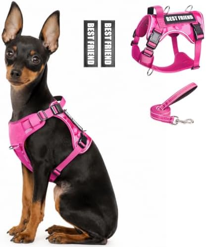 WINSEE No Pull Tactical Dog Harness with Leash Set with 2 Patches by WINSEE
