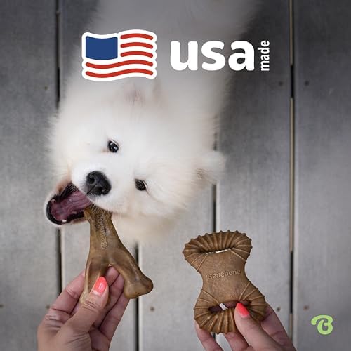 Benebone 2-Count Wishbone/Dental Durable Dog Chew Toys, Real Bacon, Small (Pack of 10) - Image 5
