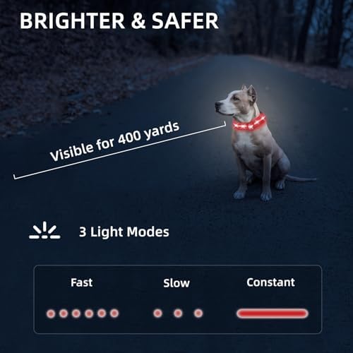 Super Bright LED Dog Collar - Fully Waterproof & Adjustable Glow Collar - USB-C Rechargeable for Night Walking, Safety - Flashing Lighted Collar for Dogs(Red,S) - Image 4