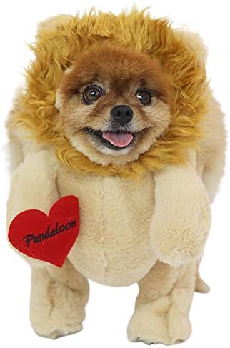 Pandaloon Dog Halloween Costume - As Seen on Shark Tank - Patented - Funny Costume with Arms for Small and Medium Dogs and Cats (Lion, Size 1(13-14 in Height at TOP of Head,Girth<16 in)) by Pandaloon