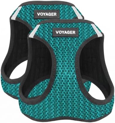 Voyager Step-in Air Dog Harness - All Weather Mesh, Reflective, No Pull Harness for Small, Medium Dogs, Cats - Secure with Hook & Loop Fastener, Buckle, Double D-Rings - Turquoise 2-Tone, XS by BestPetSuppliesLLC
