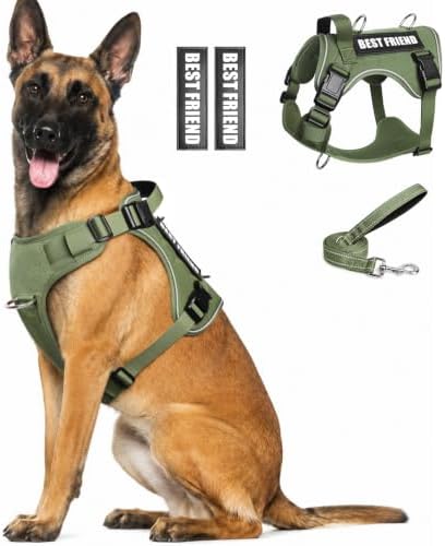 WINSEE No Pull Tactical Dog Harness with Leash Set with 2 Patches by WINSEE