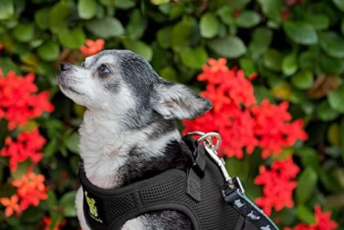EcoBark Step in Dog Harness - Eco-Friendly Teacup Dog Harnesses for XXS, XS, and Small Dogs - Reflective and Adjustable Mini Body Halter Vest -Tiny Soft Mesh Toy Breed Harness Under 5 lbs (Black, XXS) - Image 6