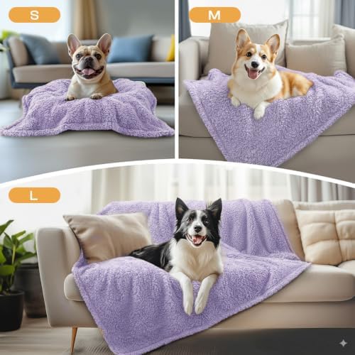 Luciphia 3 Pack Soft Sherpa Fleece Blankets for Dogs Cats Puppies,30"x20" - Image 3