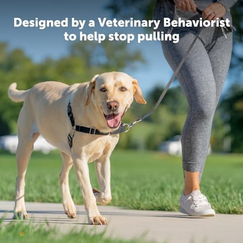 PetSafe Easy Walk Harness, No Pull Dog Harness, Large, Teal - Image 2