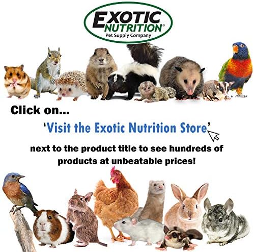 Exotic Nutrition Sugar Glider Treat Variety Pack (9.5 oz.) - Healthy Natural Sugar Glider Treat Assortment - Pineapple, Papaya, Garden Fresh Re-Hydrate, and Banana - Sampler Variety Value Package - Image 6