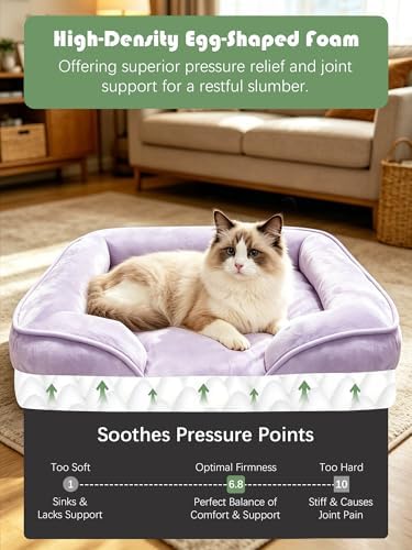 Spotted Play Orthopedic Dog Bed with Sides - Sofa Beds for Small Dogs, Supportive Foam Pet Couch Bed with Washable Removable Cover, Waterproof Lining and Non-Slip Bottom, Purple - S - Image 4