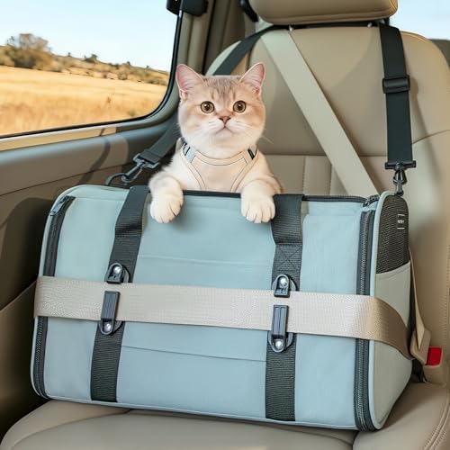 PETSFIT Large Cat Carrier with Patented Safety Buckles,Big Cats Up to 20 lb by Petsfit
