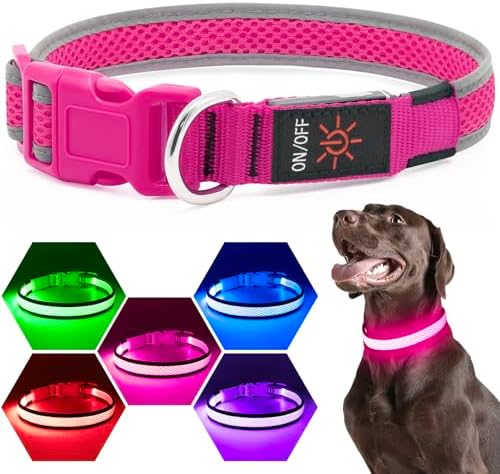 Flashseen LED Dog Collar, Light Up Dog Collar USB Rechargeable, Pink, S by Flashseen