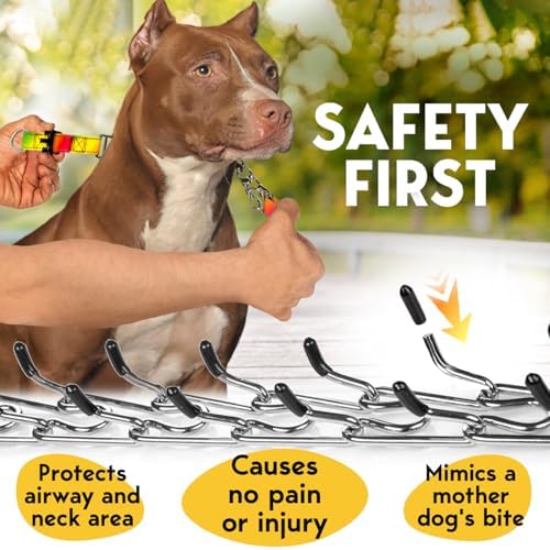 PetJett Prong Collar for Dogs Training Collar Adjustable Choke Collar for Dog Quick Release Pinch Collar for Dog for Small Medium Large Dogs No Pull Walking Tool - Stainless Steel Metal Choker Chain - Image 3