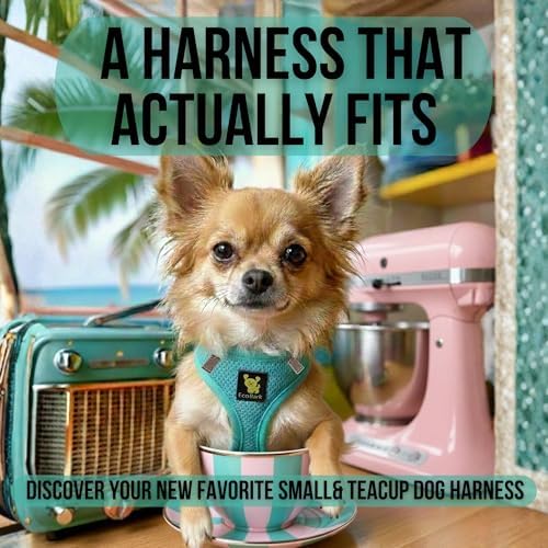 EcoBark Teacup Dog Harness, Soft Step in Puppy Vest, XXXS, Under 5 Lbs - Image 3