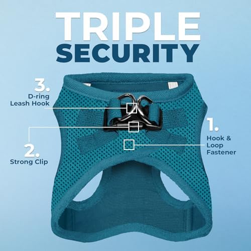Best Pet Supplies Voyager Step-in Air All Weather Mesh Harness and Reflective Dog 5ft Leash Combo with Neoprene Handle, for Small, Medium and Large Breed Puppies - Turquoise, Medium - Image 2
