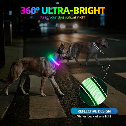 Flashseen LED Dog Collar, Light Up Dog Collar USB Rechargeable (White, Medium) - Image 4