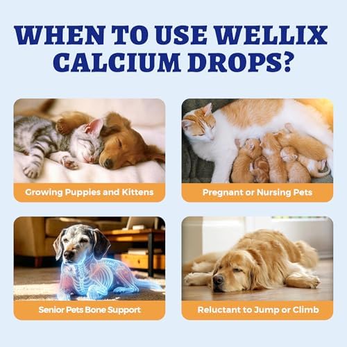Wellix 4.06 fl oz Liquid Calcium Supplement for Dogs and Cats - Image 4