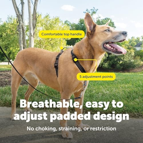 PetSafe 3 in 1 No-Pull Dog Harness - Walk, Train or Travel - Helps Prevent Pets from Pulling on Walks - Seatbelt Loop Doubles as Quick Access Handle - Reflective Accents - Medium, Black - Image 4