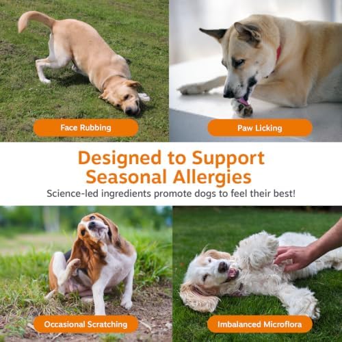 Zesty Paws Dog Allergy Chews - Dog Allergy Relief, Lamb, 90 Ct - Image 4