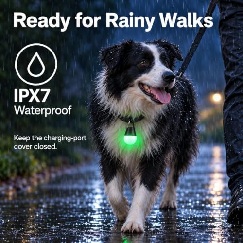 360° Light Up Dog Collar Light, Clip On Dog Light for Night Walking, 2 Pack - Image 6