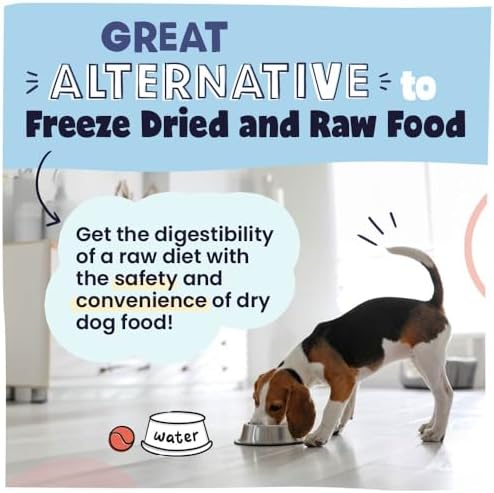 Pawstruck Air Dried Dog Food Beef Recipe Vet Recommended Made in USA 12.5oz - Image 6