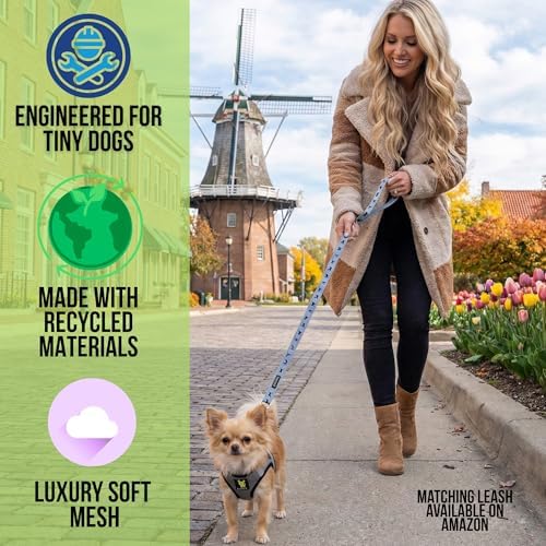 EcoBark Teacup Dog Harness, Step in Luxury Soft Mesh Halter Vest, Gray, XXXS - Image 2