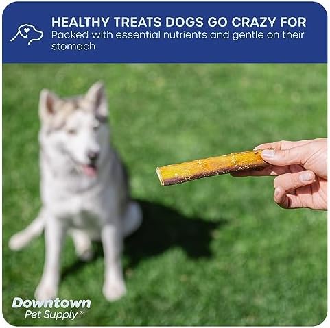 Downtown Pet Supply Jumbo Bully Sticks for Dogs - Natural Beef Chews, Low-Odor & Rawhide-Free, Long Lasting Dog Treats for Aggressive Chewers - Healthy, Safe & Delicious Chews Dogs Love (6" 5 Pack) - Image 4
