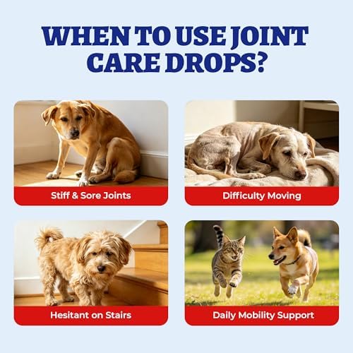 Wellix 4 oz Joint Supplement Drops for Dogs & Cats - Mild Turmeric Formula - Image 3