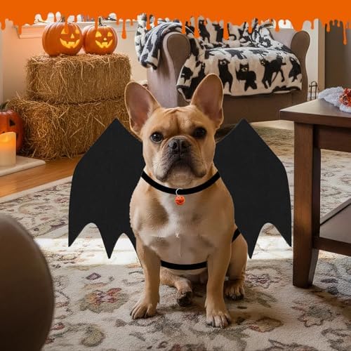 Dog Halloween Costumes for Small Dogs, Dog Bat Wings with Pumpkin Bell Pet Halloween Cosplay Party Dress Up (Small) - Image 6