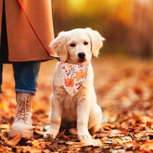 ADOGGYGO Fall Dog Bandana, Pumpkin Maple Leaf Fall Bandana for Dog, Small - Image 3