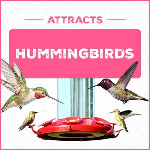 Pennington Electro-Nectar Hummingbird Nectar Ready to Use 64-Oz Bottle - Image 3