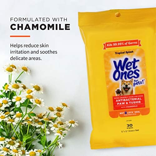Wet Ones Dog Wipes, Pack of 2, 30 Count Total | Paw & Tushie | Tropical Splash Scent | Wet Lock Seal Pouch | With Chamomile - Image 2