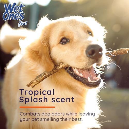Wet Ones for Pets XL Dog Bathing Wipes, Tropical Splash, 10 Count, 3-Pack - Image 3