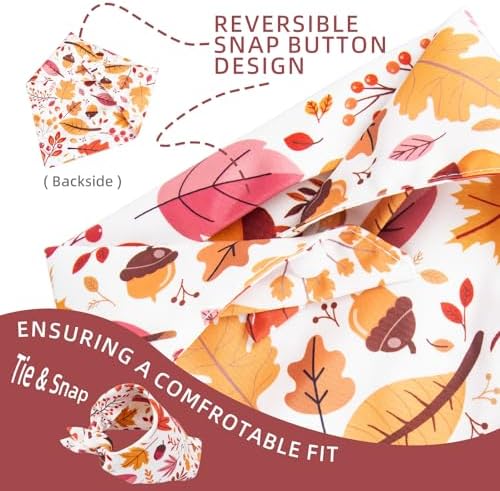 Fall Dog Bandana Colorful Autumn Leaf Scraf, 30-75lbs Large Pets - Image 2