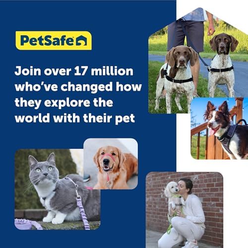PetSafe Easy Walk Harness for Dogs - Pull-Free Walks - Patented Martingale LoopDesign-Front Chest Leash Attachment - Comfort Straps-Breathable Harness Design-Small,Charcoal/Black (Pack of 3) - Image 5