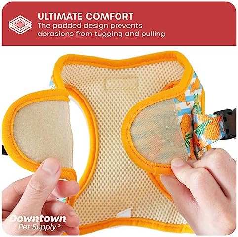 Downtown Pet Supply Step-in Dog Harness – No Pull, Adjustable Padded Mesh with Reflective Trim, Secure Buckle Strap – Comfortable & Breathable Small Dog Harness, Large, Pineapple - Image 6