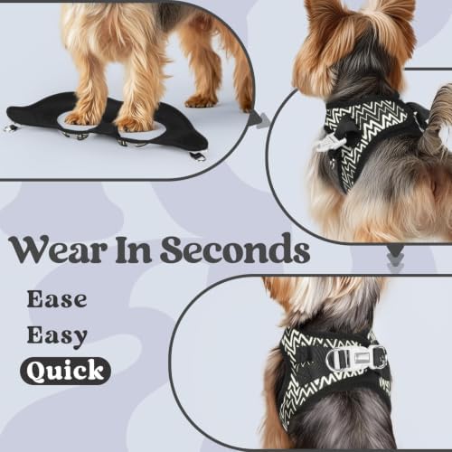rabbitgoo Step-in Small Dog Harness, Puppy Vest for Small Sized Pet - Image 5