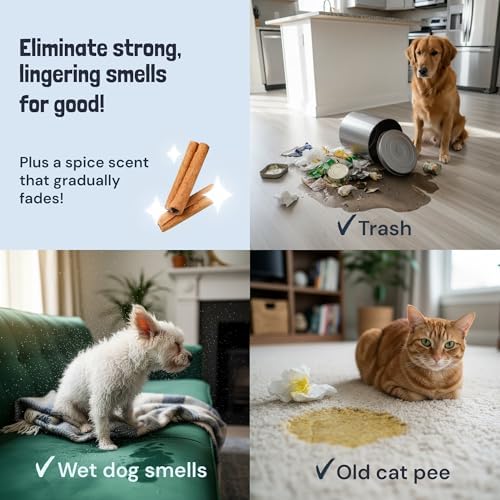 Sunny & Honey Carpet Cleaner Spray, Enzyme Pet Stain Remover, 32oz Spice - Image 4